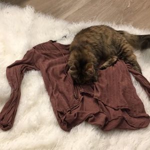 This beautiful shirt not the kitty